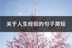 关于人生经验的句子简短(优选80句)