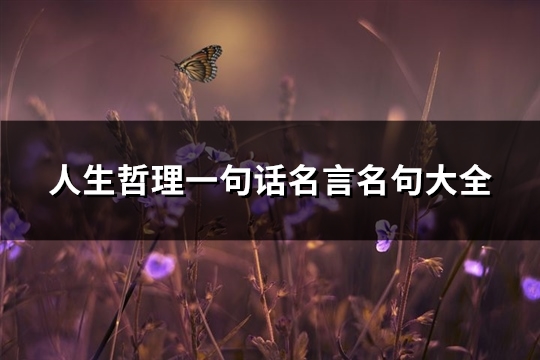 人生哲理一句话名言名句大全(共106句)