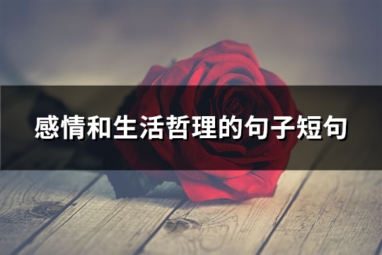 感情和生活哲理的句子短句(87句)