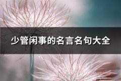 少管闲事的名言名句大全(47句)