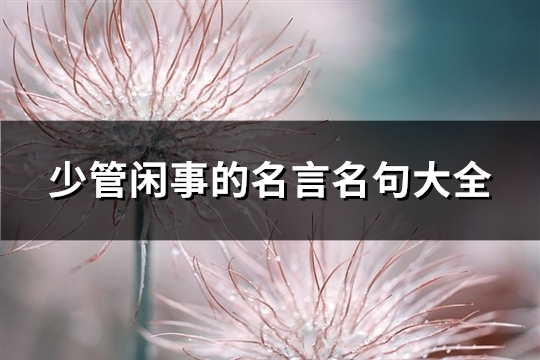 少管闲事的名言名句大全(47句)