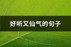好听又仙气的句子(85句)