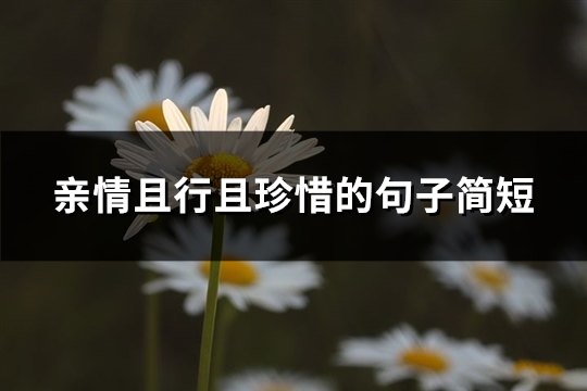 亲情且行且珍惜的句子简短(精选82句)