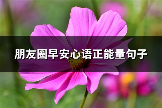 朋友圈早安心语正能量句子(推荐76句)