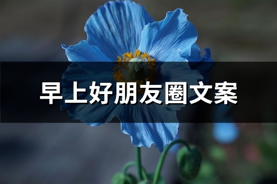早上好朋友圈文案(精选102句)