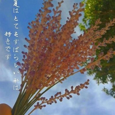 2024五十岁女人优雅气质头像(优选16张)