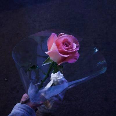 适合年轻妈妈用的微信头像(优选16张)
