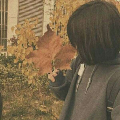 小清新女生微信头像图片大全(16张)