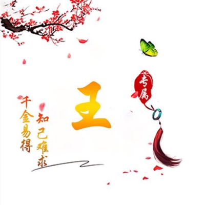 2024独一无二姓氏头像(16张)