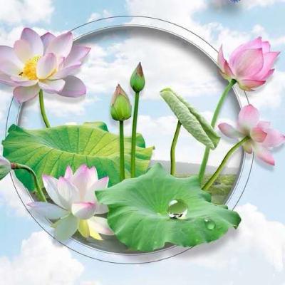 适合老年人身体健康的微信头像(16张)