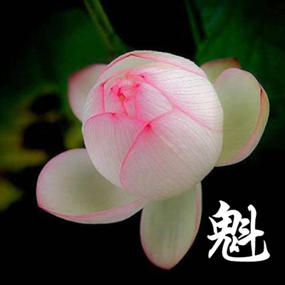 适合老年人身体健康的微信头像(16张)