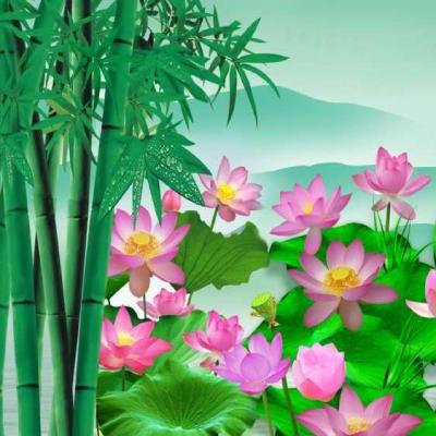 适合老年人身体健康的微信头像(16张)