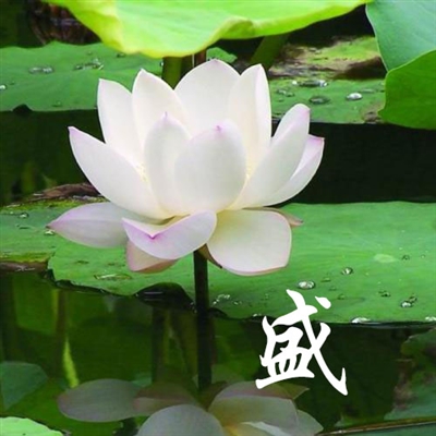 适合老年人身体健康的微信头像(16张)