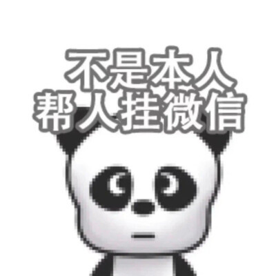 2024年最萌的微信头像图片大全(18张)
