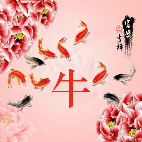 2024年招财的微信头像女(共12张)