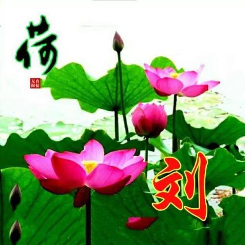老年人好看的头像图片女大全(精选11张)