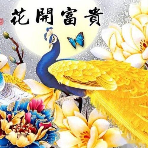 老年人好看的头像图片女大全(精选11张)