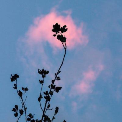 高清风水最好最吉祥的风景头像(精选16张)