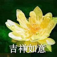 2024身体健康微信头像(精选12张)