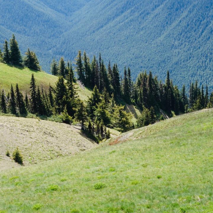 简单干净好看的头像风景(16张)