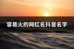 容易火的网红名抖音名字(精选134个)