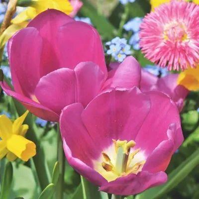 2024最流行花微信头像(20张)