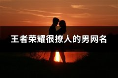 王者荣耀很撩人的男网名(精选149个)