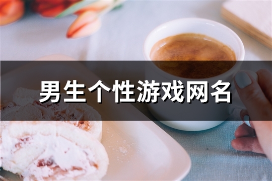 男生个性游戏网名(178个)