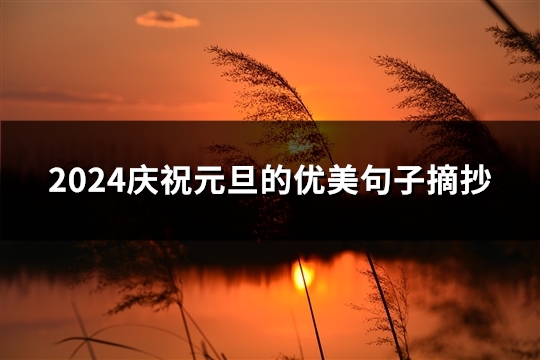 2024庆祝元旦的优美句子摘抄(共40句)