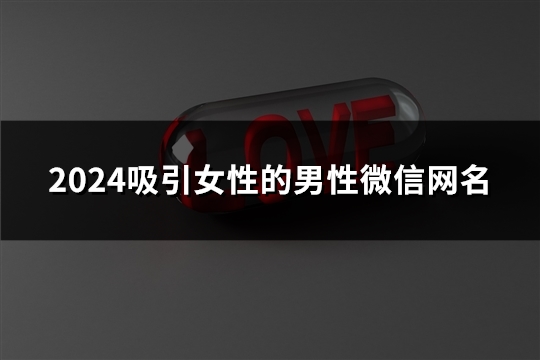 2024吸引女性的男性微信网名(175个)