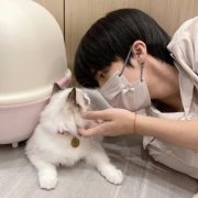 大男孩微信最吉利的好看头像(优选12张)