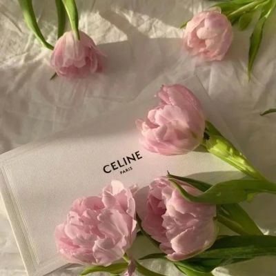 适合老年人微信头像女有品位(优选12张)