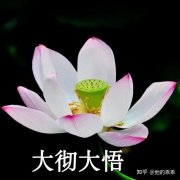 适合爷爷奶奶的微信头像图片(共12张)