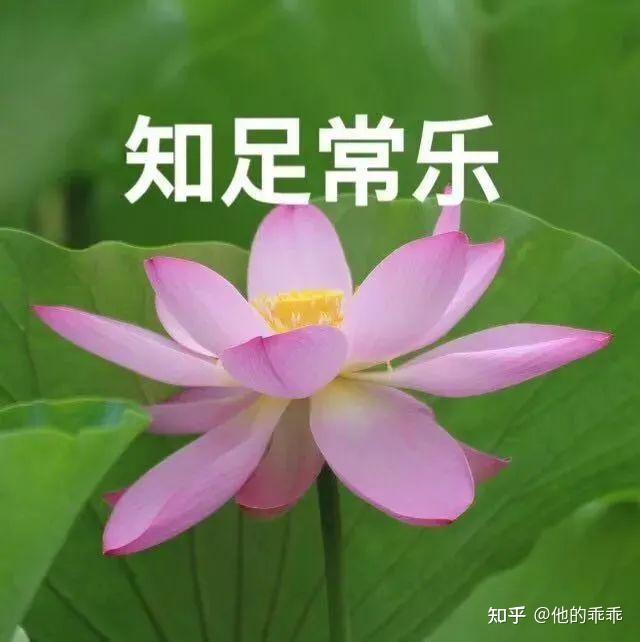 适合爷爷奶奶的微信头像图片(共12张)
