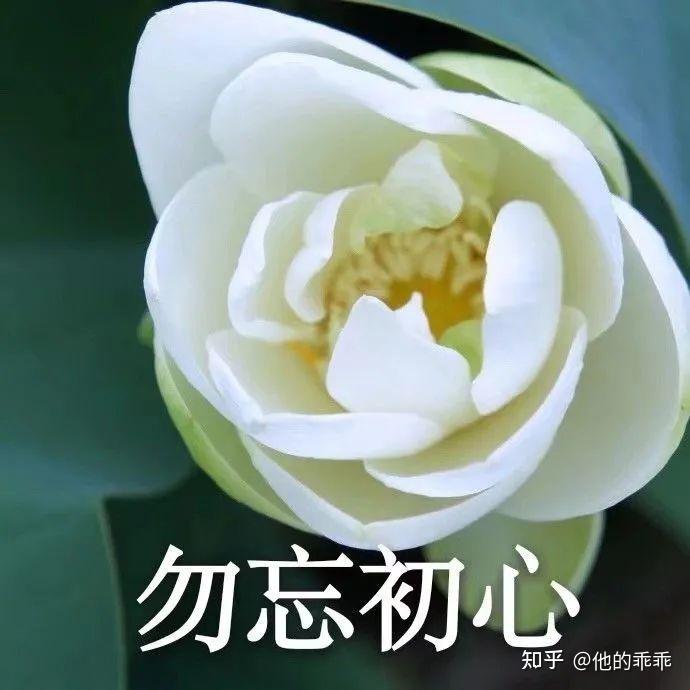 适合爷爷奶奶的微信头像图片(共12张)