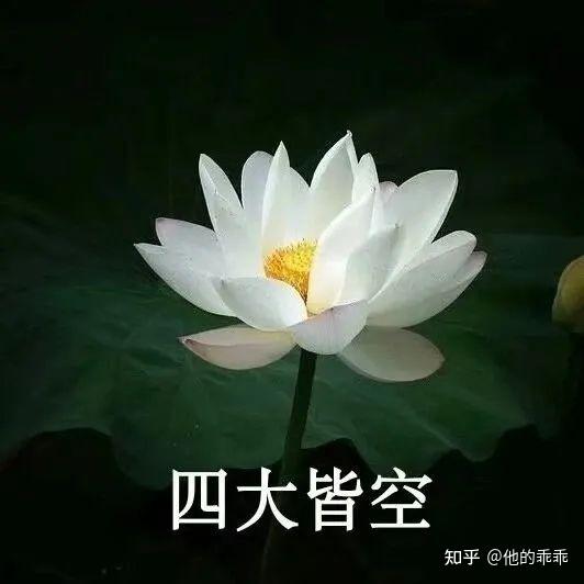 适合爷爷奶奶的微信头像图片(共12张)