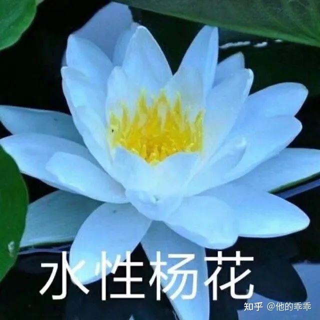适合爷爷奶奶的微信头像图片(共12张)