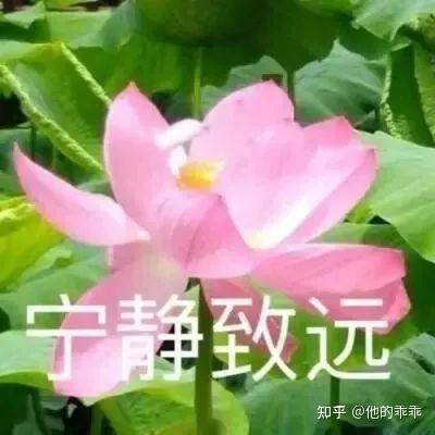 适合爷爷奶奶的微信头像图片(共12张)