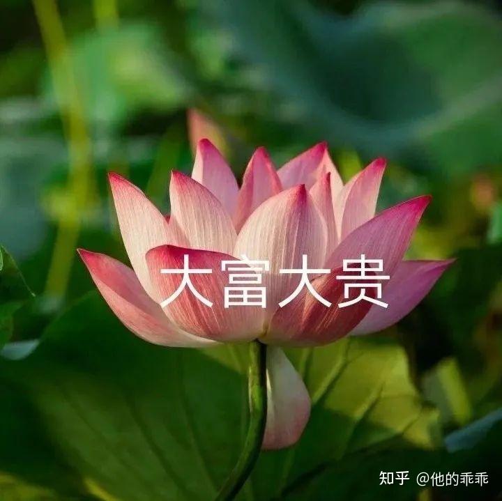 适合爷爷奶奶的微信头像图片(共12张)