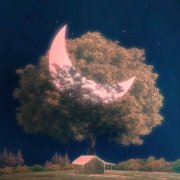 2024年旺运又旺财的微信头像女风景(共10张)