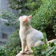 三四十岁的人用的微信头像(精选10张)
