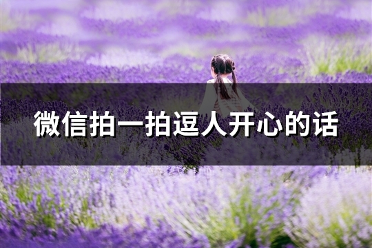 微信拍一拍逗人开心的话(精选36句) 微信拍一拍逗人开心的话(精选36句)