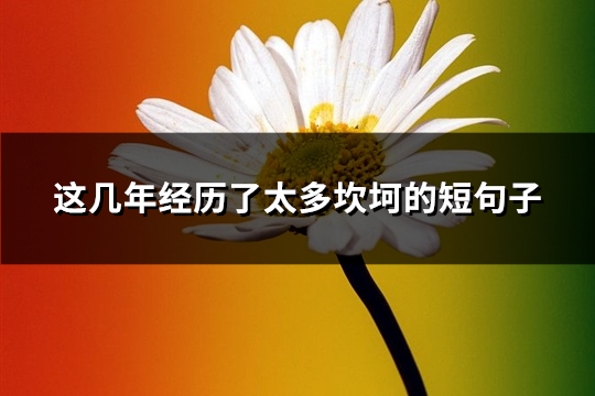 这几年经历了太多坎坷的短句子(精选38句)