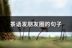 茶语发朋友圈的句子(共26句)
