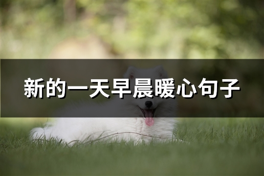 新的一天早晨暖心句子(精选36句) 新的一天早晨暖心句子(精选36句)