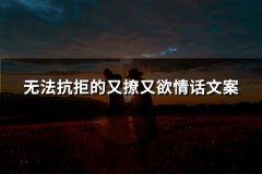 无法抗拒的又撩又欲情话文案(优选33句)