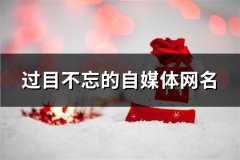 过目不忘的自媒体网名(57个)