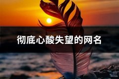 彻底心酸失望的网名(35个)