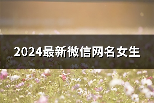 2024最新微信网名女生(精选136个)