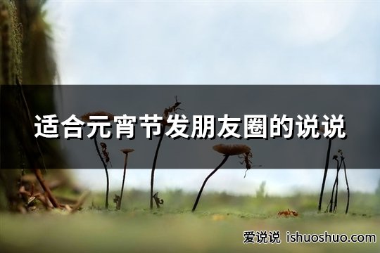 适合元宵节发朋友圈的说说(优选37句)